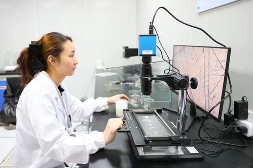 最美生產(chǎn)線 走進中紡聯(lián)檢上海，探索檢驗技術(shù)服務(wù)的卓越之旅